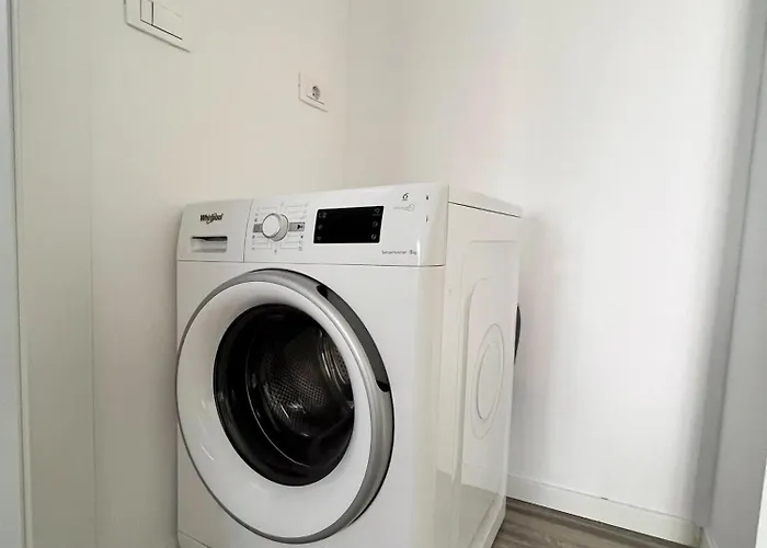 Neo Sase - Un Dormitor - Campeador