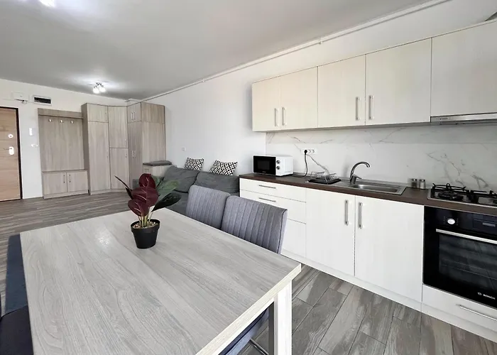 Neo Sase - Un Dormitor - Campeador *